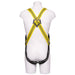 P+P Full Body Harness (90046MK4)